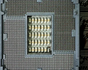 AMD Ryzen 5 5600 Processor Tray — AMD Processors