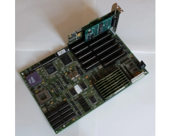 Signal Compact Cases Array 82 — Paja