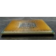 Core i5 Demo -prosessori