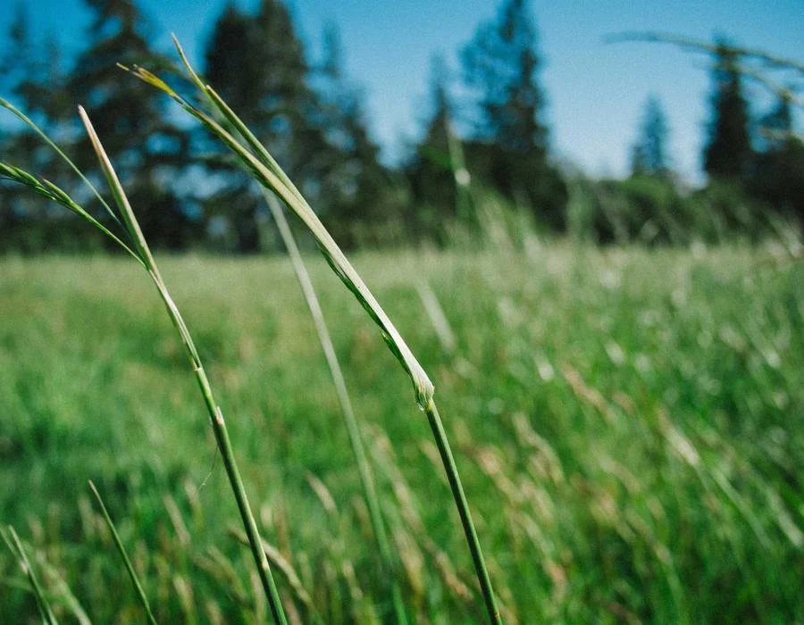 Tuulettimen takometri — Mittausvälineet — fan tachometer